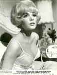 Stella Stevens in How to save a marriage –  and ruin your life.