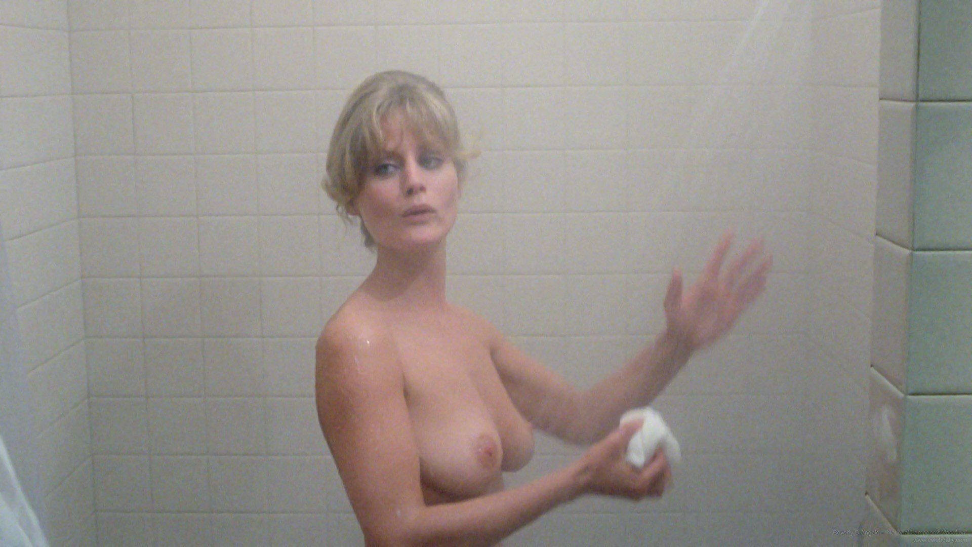 Beverly D’Angelo cleaning those boobs